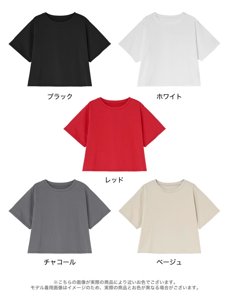 セミクロップド半袖Tシャツ - トップス通販 | 人気レディース
