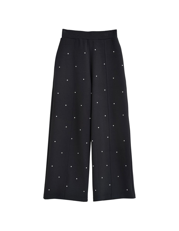 その他パンツ 秋コレクション ビジューブラック(入荷済み) | 人気