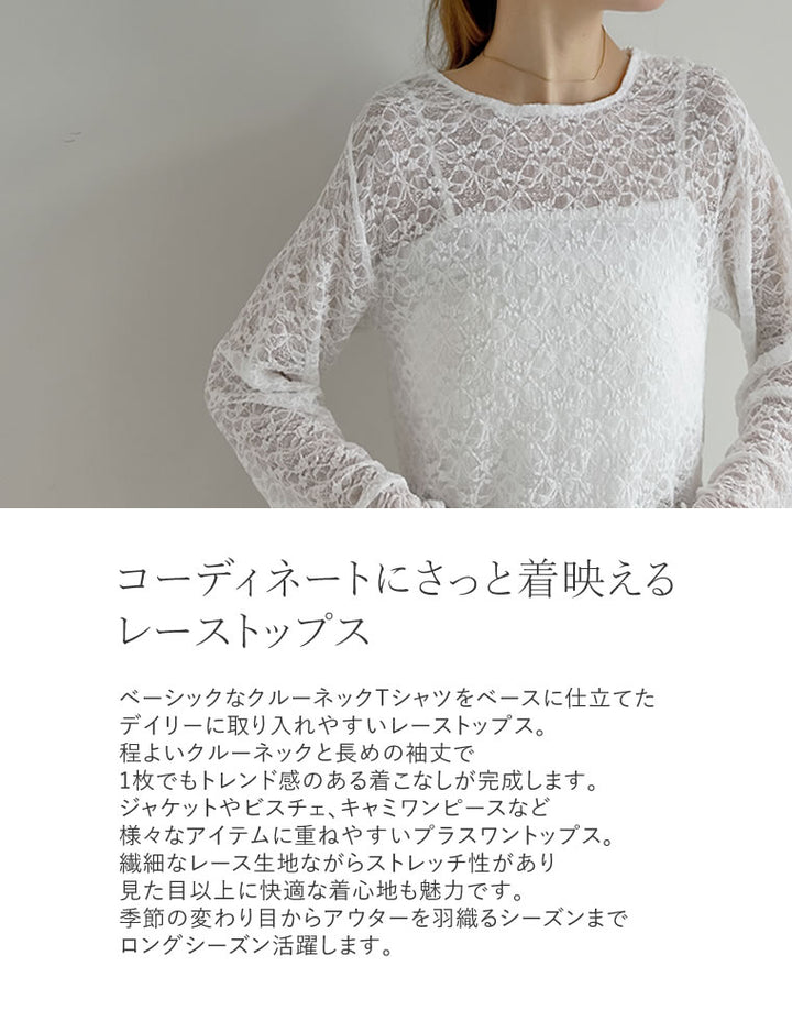 カットレースクルーネック長袖トップス トップス 人気レディースファッション通販 リエディ