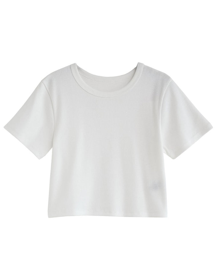テレコリブクロップド半袖Ｔシャツ トップス 人気レディースファッション通販 リエディ