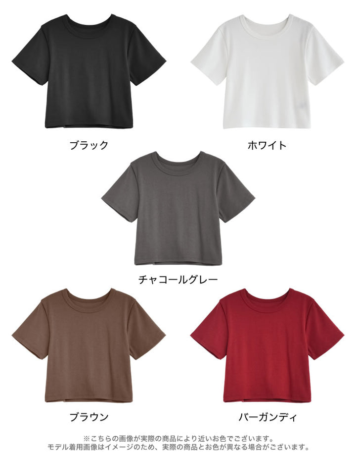 テレコリブクロップド半袖Ｔシャツ トップス 人気レディースファッション通販 リエディ