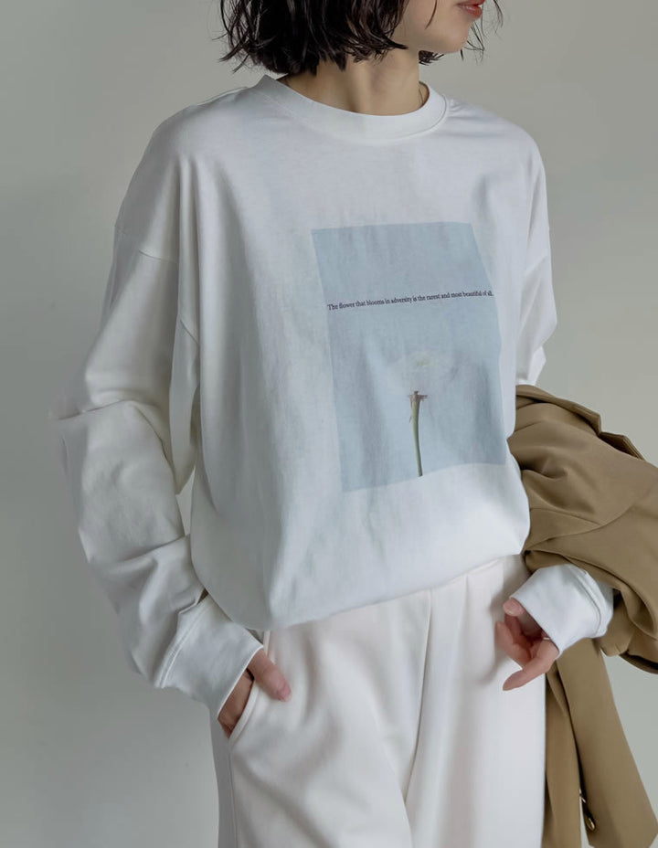 ≪20日11:59まで！期間限定ポイント10%UP対象≫[2025AW COLLECTION]フォトプリントアソート長袖Ｔシャツ[mb] トップス 人気レディースファッション通販 リエディ