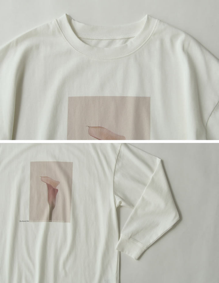 ≪20日11:59まで！期間限定ポイント10%UP対象≫[2025AW COLLECTION]フォトプリントアソート長袖Ｔシャツ[mb] トップス 人気レディースファッション通販 リエディ