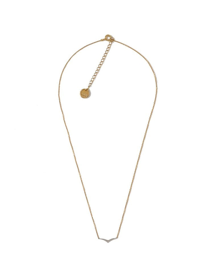 [AnkA moore（アンカムーア）][低アレルギー対応]日本製ツインカラープレートネックレス[返品交換不可] アクセサリー レディースファッション通販 リエディ