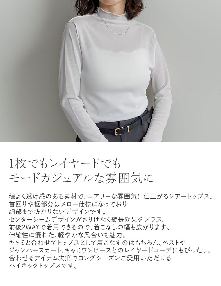 前後2WAYシアーネットハイネックプルオーバー