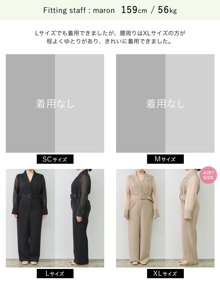 ベルト付きシアーボリュームスリーブオールインワン