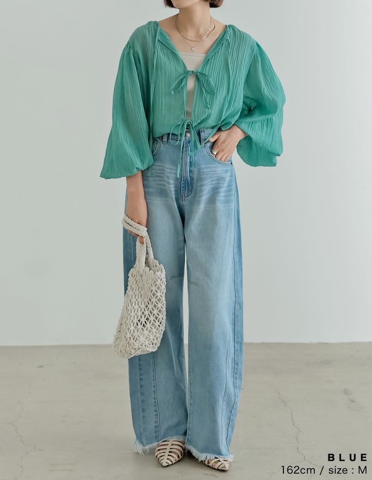 2WAY無地orフロッキードット柄シアー楊柳ボリュームスリーブブラウス