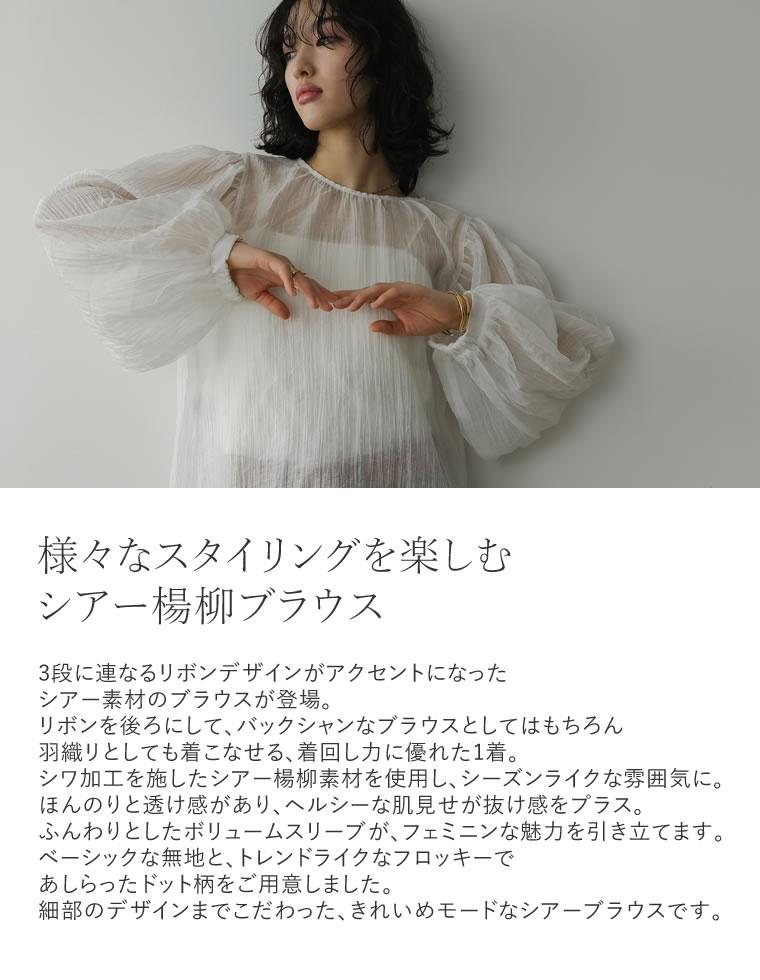 2WAY無地orフロッキードット柄シアー楊柳ボリュームスリーブブラウス