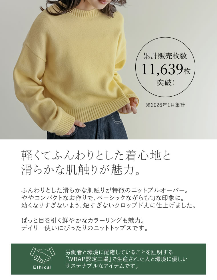 アルパカタッチクロップド丈ニットプルオーバー