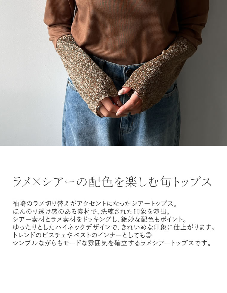 プチハイネックラメスリーブシアートップス