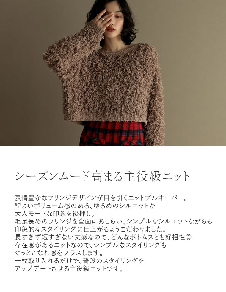 フリンジヤーンニットプルオーバー