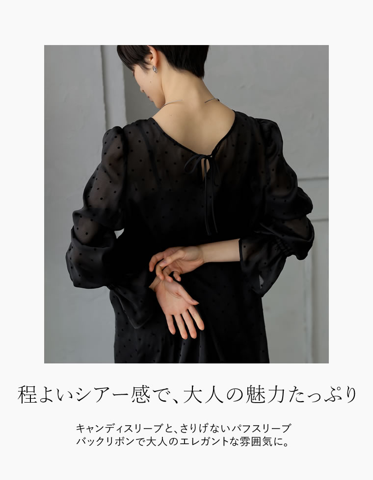 フロッキーオーガンジーロングワンピース