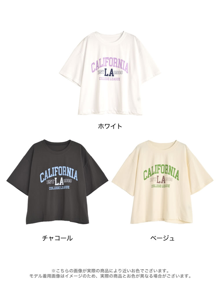 綿天竺CaliforniaロゴＴシャツ