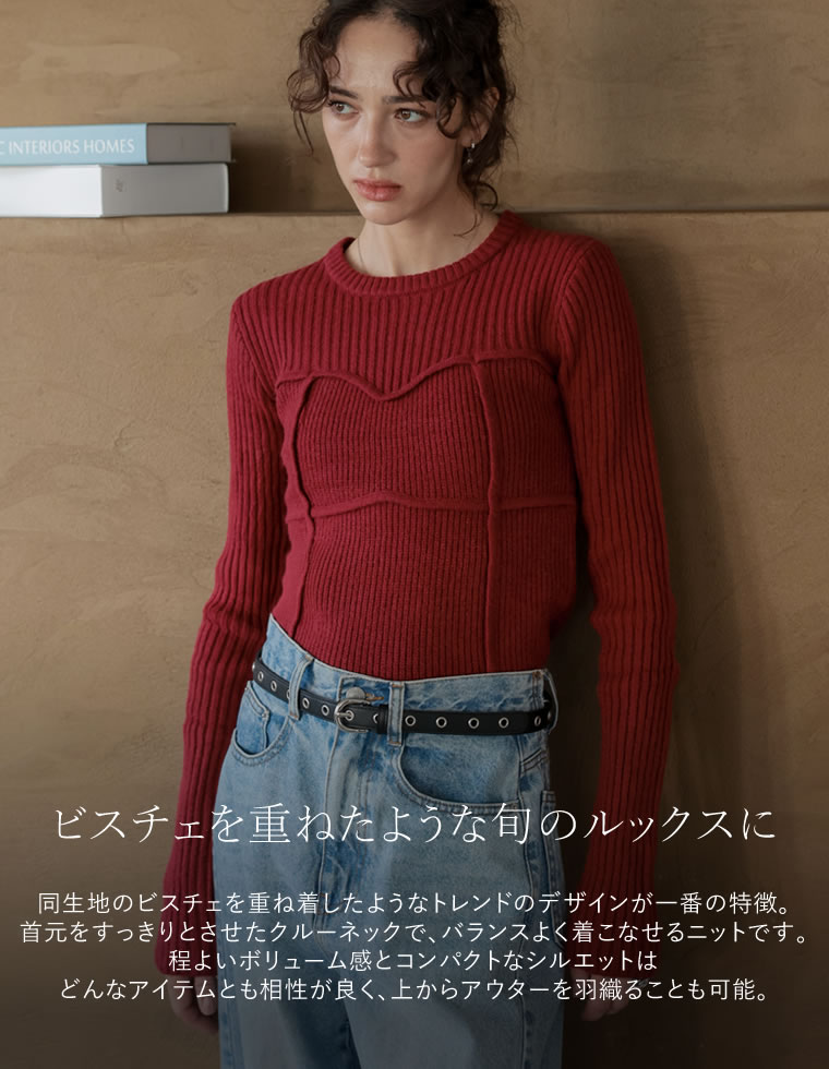 アルパカタッチビスチェライクニット