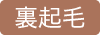 裏起毛